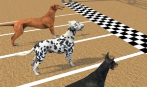 Bí Quyết Chinh Phục Game Nhanh Đua Chó Tại 789P: Hướng Dẫn Từ Cao Thủ