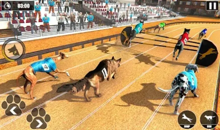 Bí Quyết Chinh Phục Game Nhanh Đua Chó Tại 789P: Hướng Dẫn Từ Cao Thủ